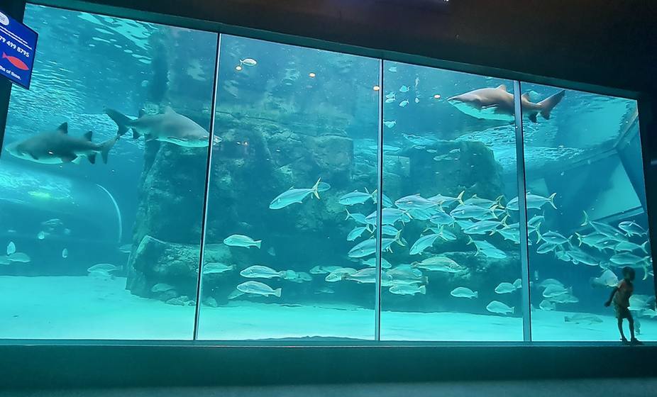Acuario de los dos Océanos