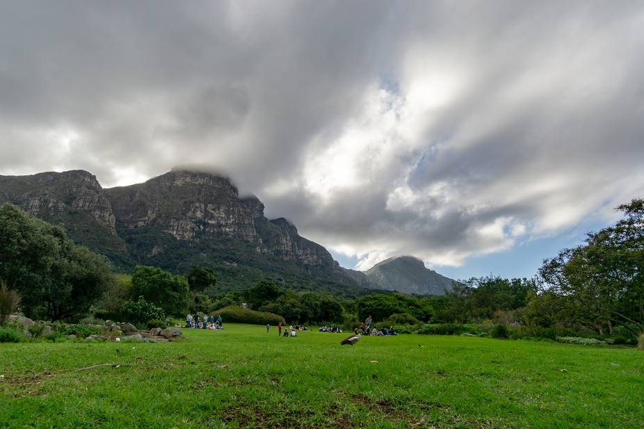 Jardín Botánico Kirstenbosch