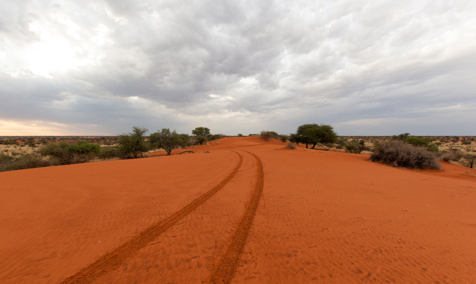 Nubes de lluvia en el desierto de Kalahari