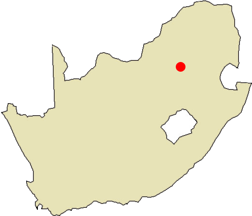 Johannesburgo situación