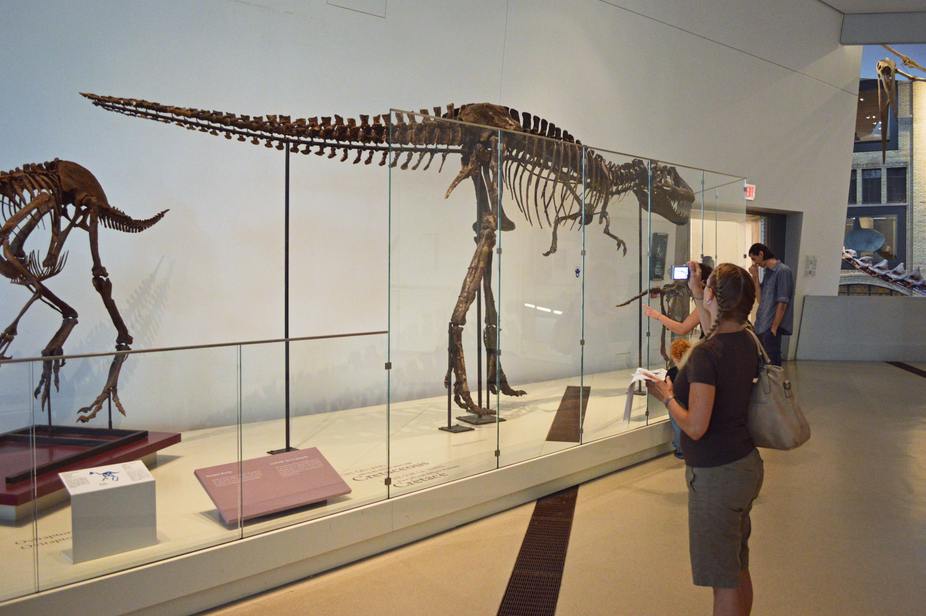 Museo Real de Ontario
