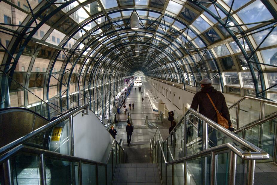 The Path