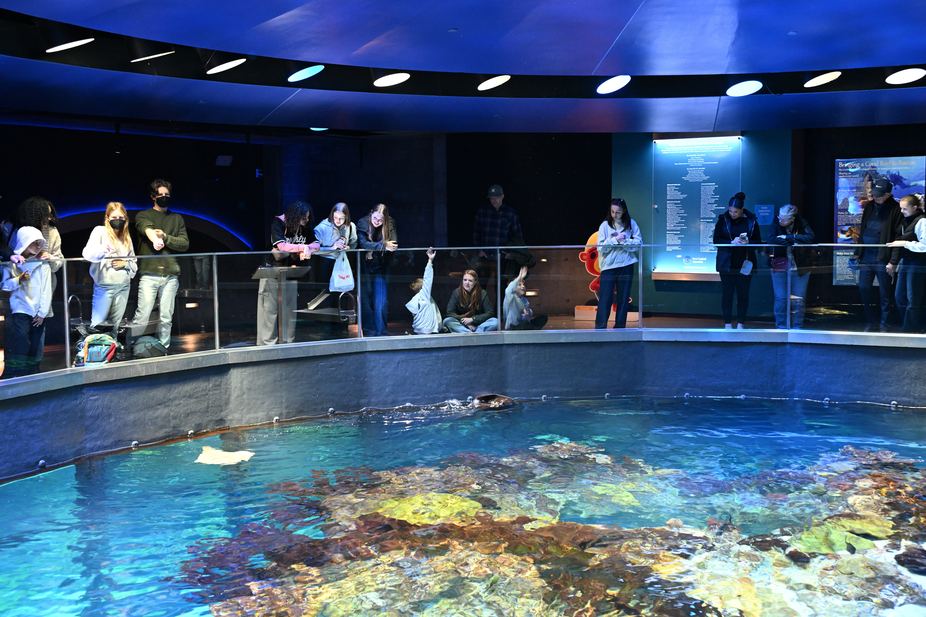 New England Aquarium