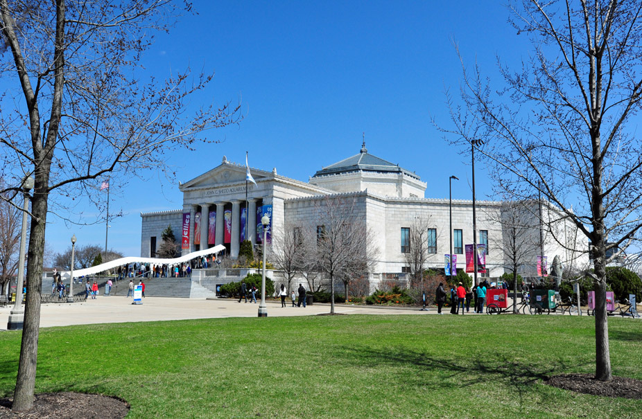El Shedd Aquarium
