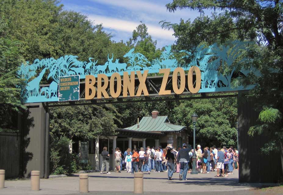 Bronx Zoo