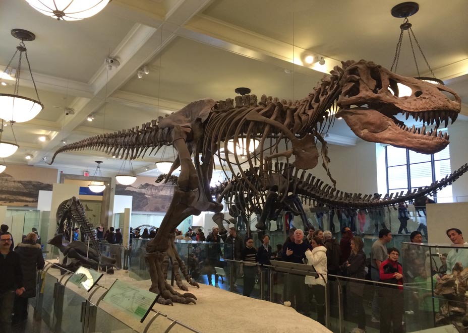 Museo de Historia Natural