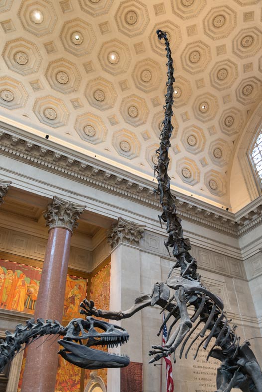 Museo de Historia Natural