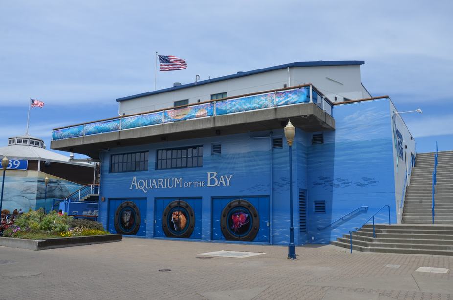 Acuario de la Bahía