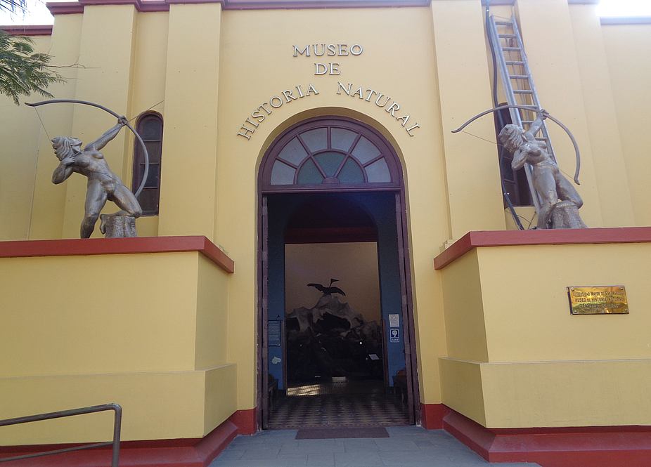 Museo de Historia Natural