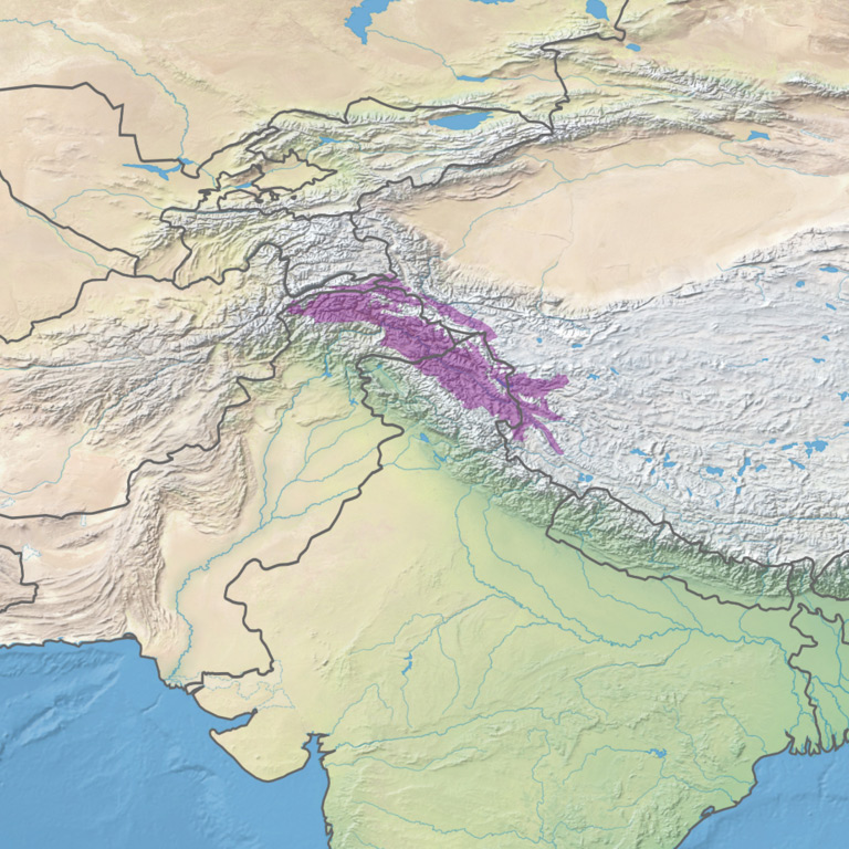 La cordillera Karakoram destacada en violeta en el mapa