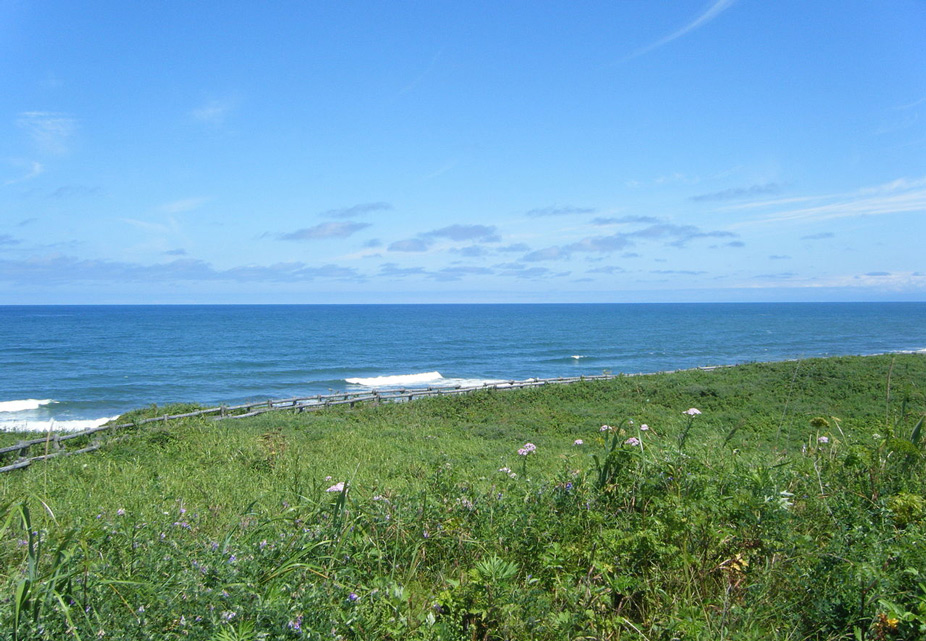 Un mar de Asia visto desde Koshimizu Genseikaen en la ciudad de Koshimizu, Hokkaido, Japón