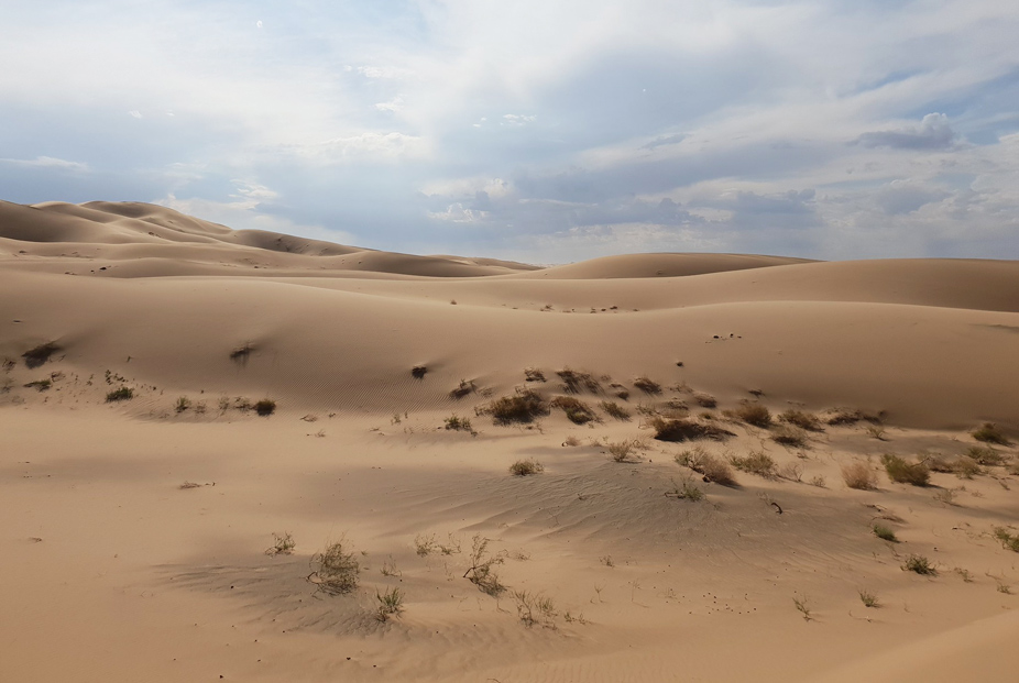 El Desierto de Gobi