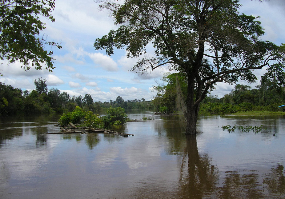 El río Kapuas