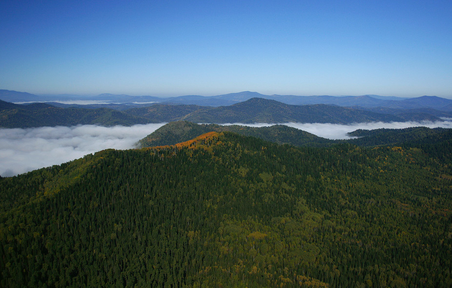 Macizo de Altai, balle de Fog