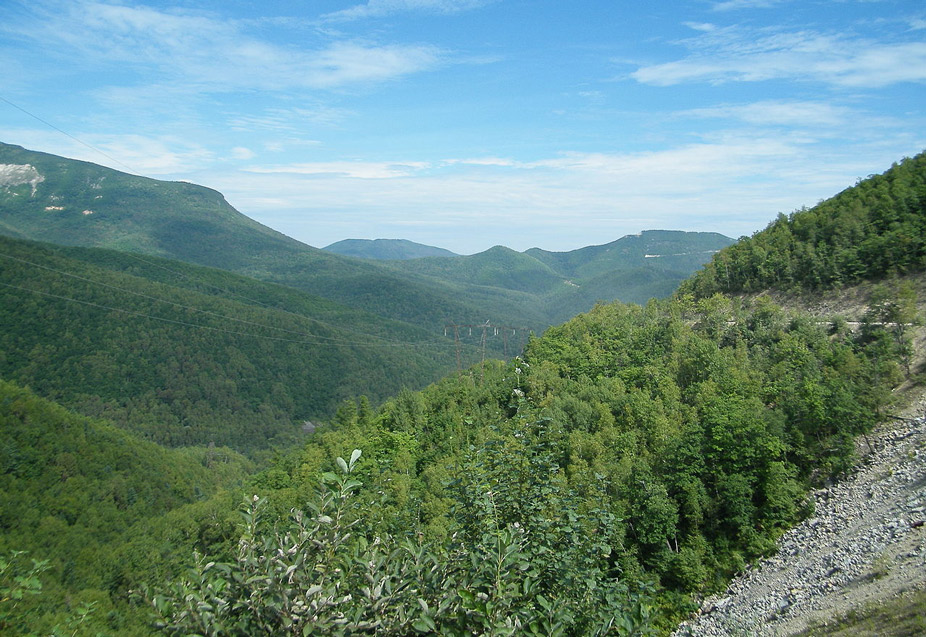 En las montañas Sijoté-Alín cerca de la ciudad de Dalnegorsk