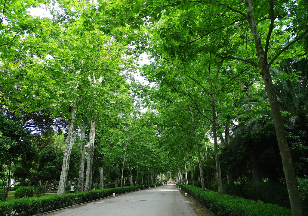 Parque María Luisa de Sevilla
