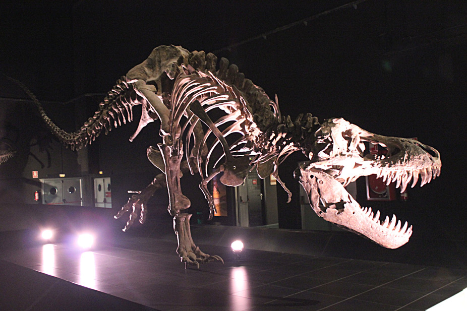 Museo paleontológico de Dinópolis