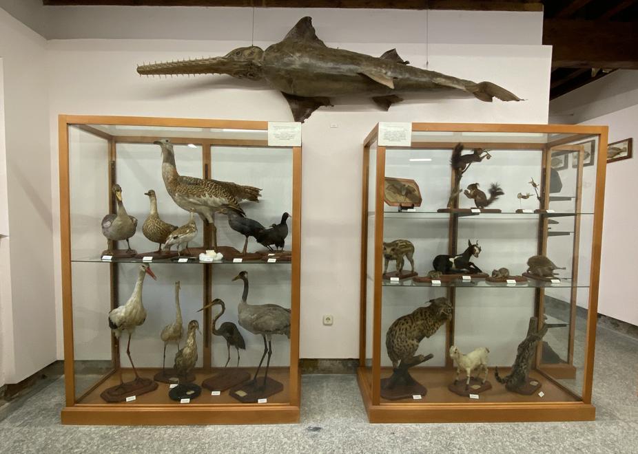 Monasterio de Santo Tomás