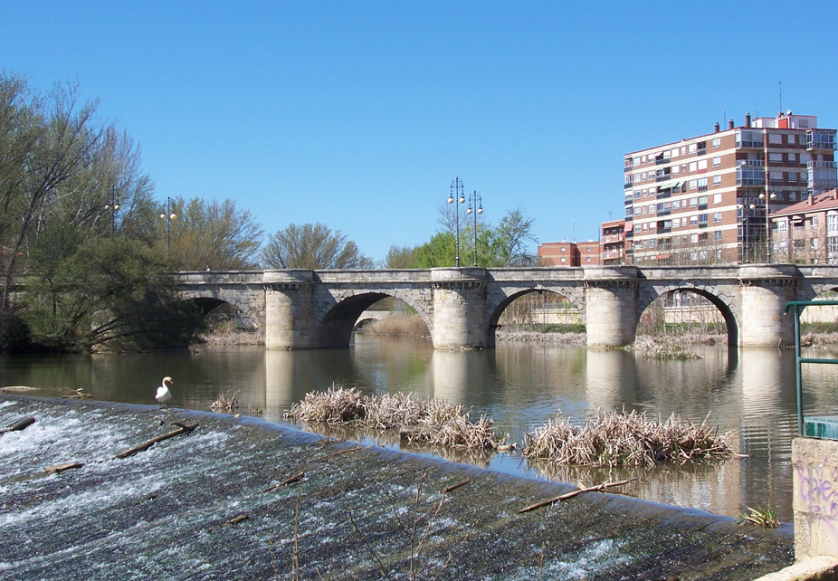 Puente mayor de Palencia
