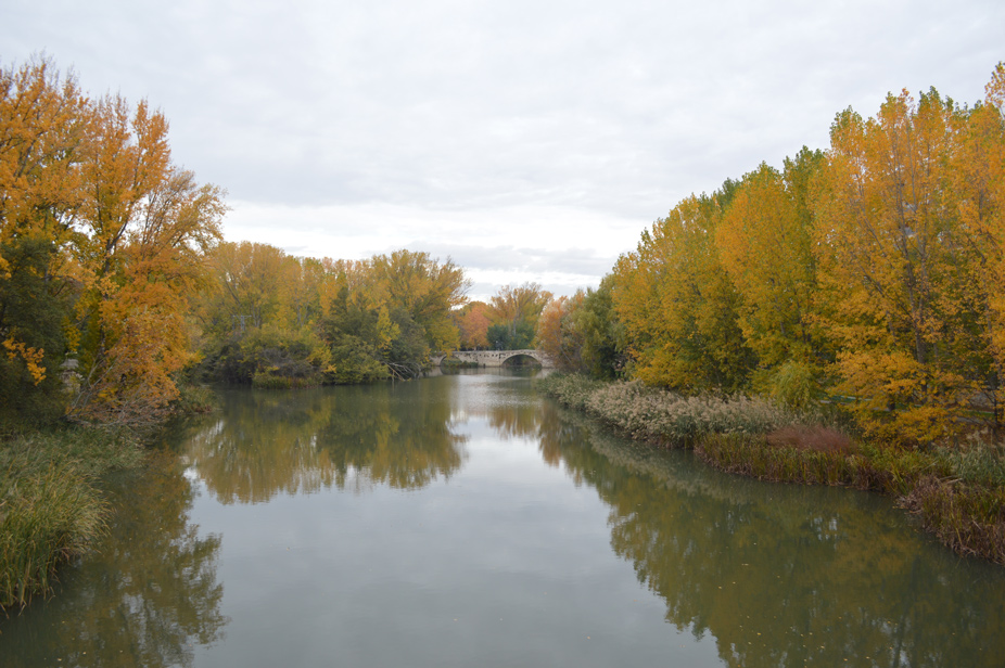 El río Carrión a su paso por Palencia