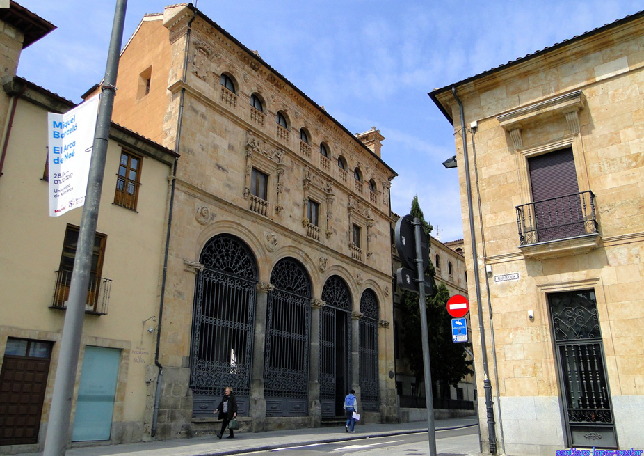 Palacio de la Salina de Salamanca