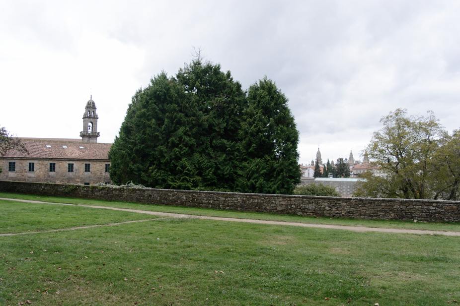 Parque de Santo Domingo de Bonaval