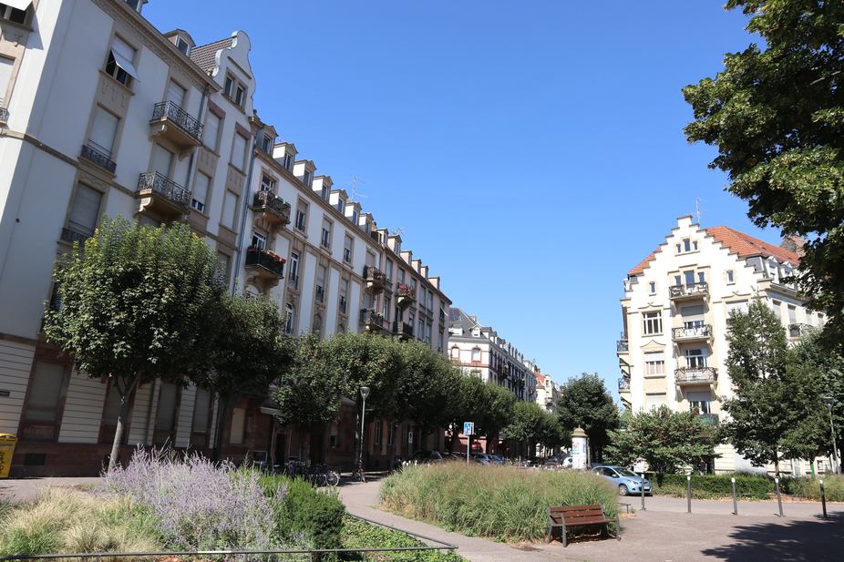 PBarrio Alemán