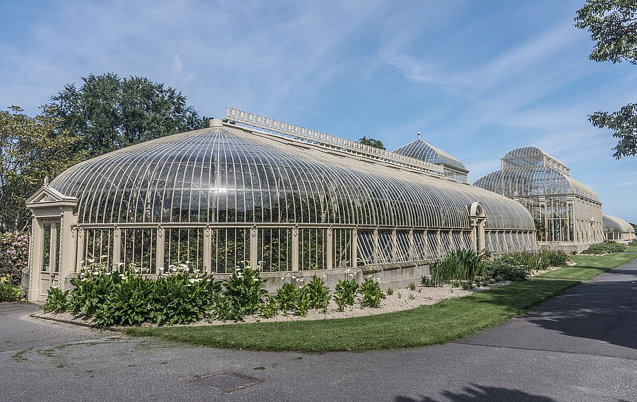 El Jardín Botánico de Dubín