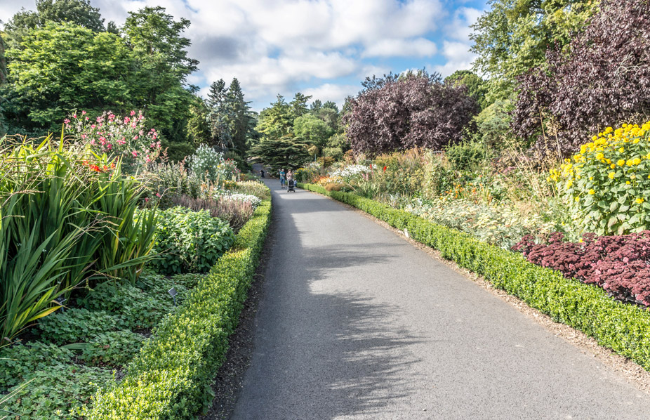 El Jardín Botánico de Dubín