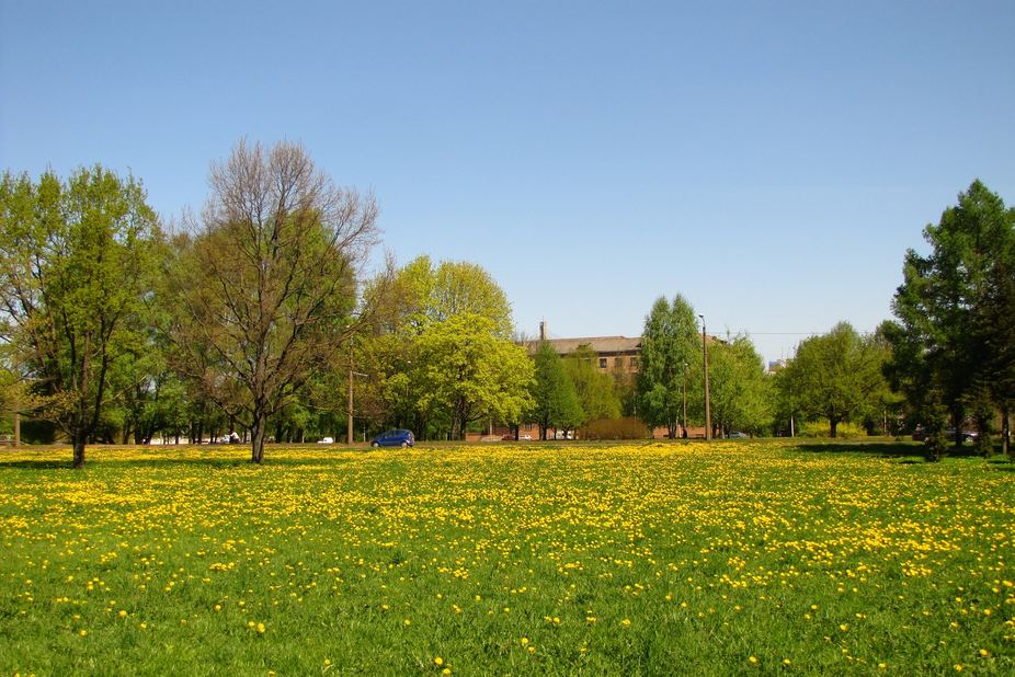 Parque de la VIitoria